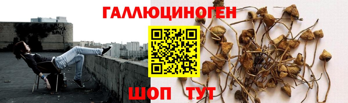 Псилоцибиновые грибы MAGIC MUSHROOMS  Галлюциногенные грибы MAGIC MUSHROOMS  Альметьевск  Вход с VPN 